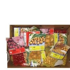 Onion assorted 'Yellow, Red, White, Shallot'