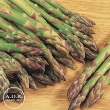 Asparagus Mary Washington