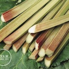 Rhubarb Victoria