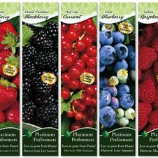 Assortment: Berry Lover