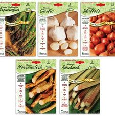 Assortment: Vegetable
