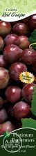 Assortment: Grape