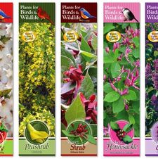 Assortment: Bird & Wildlife