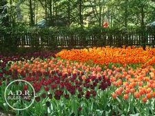  'Garden of Eden'
