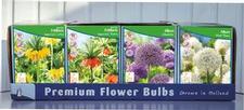 Fritillaria & Allium Unit 480