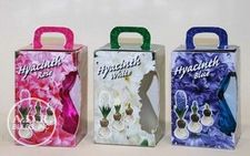 Hyacinth Authentic Hyacinth Glasses