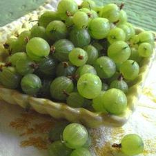 Gooseberry Pixwell