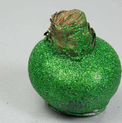 Amaryllis Wax 'Glitter Green'