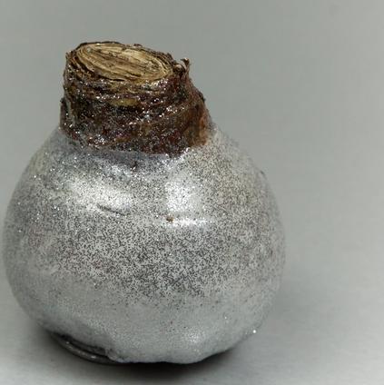 Amaryllis Wax 'Glitter White'