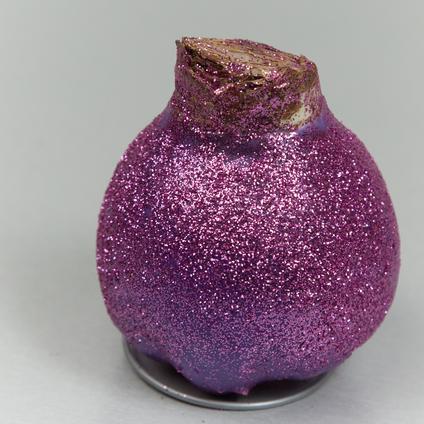 Amaryllis Wax 'Glitter Purple'