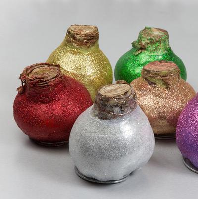 Waxed Amaryllis Flower Bulbs