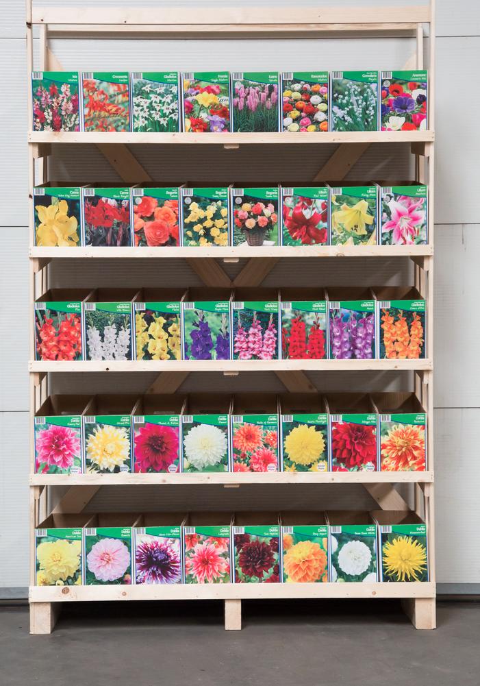 IGC Complete Store Collection (458 Packages) - Spring bulb retail display from ADR Bulbs