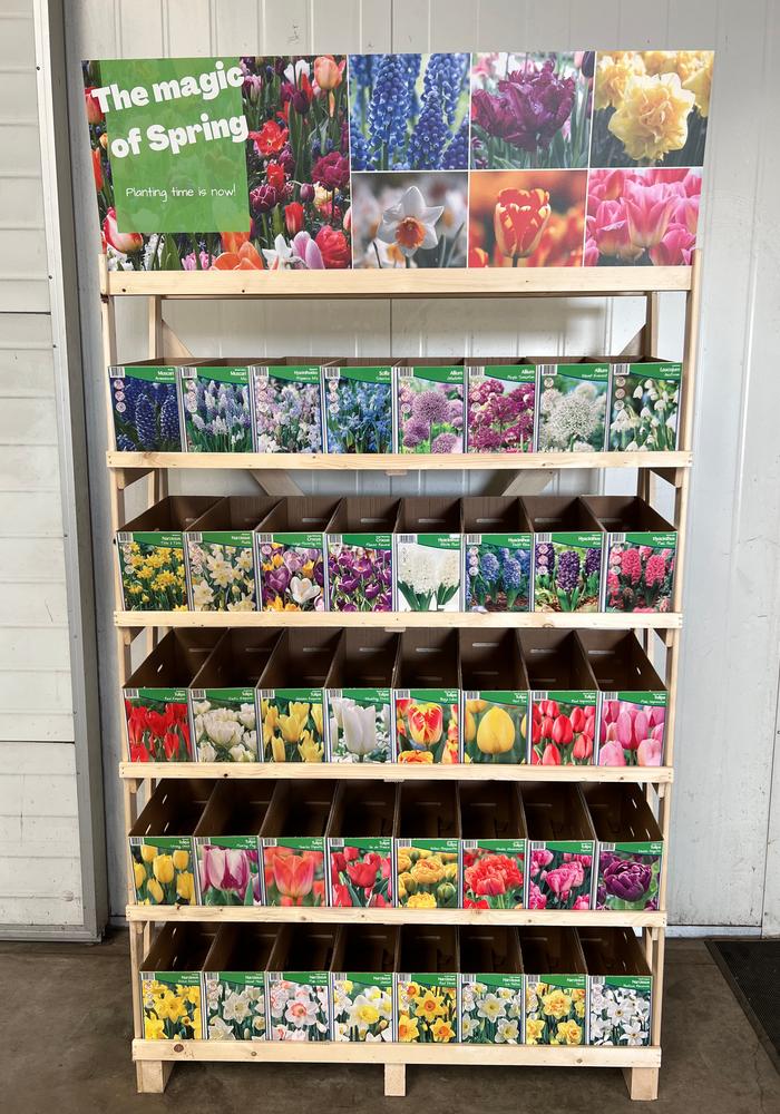 Retail Complete Store Collection (376 Packages) - Fall bulb retail display from ADR Bulbs