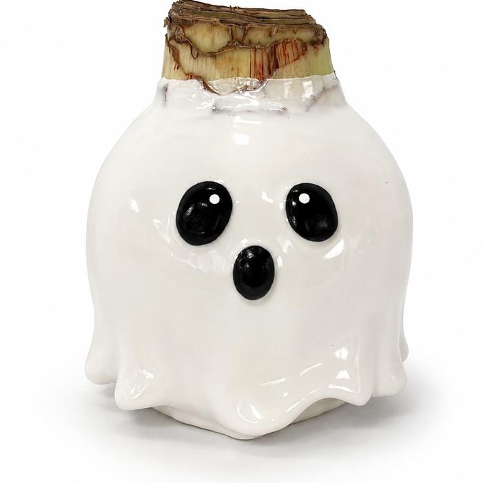 Wholesale Amaryllis Wax Figurine 'Ghost' - Amaryllis | A.D.R. Bulbs