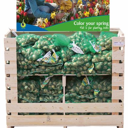 IGC Daffodil Pallet Box - FALL 