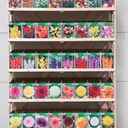 IGC Complete Store Collection - SPRING 