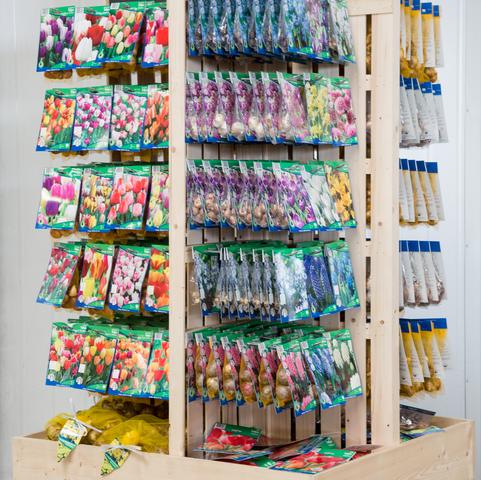 IGC Island Display (542 Packages) 