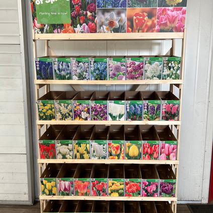 IGC Complete Store Collection - FALL 