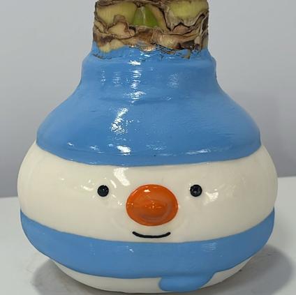 Amaryllis Wax Figurine 'Snowman' 