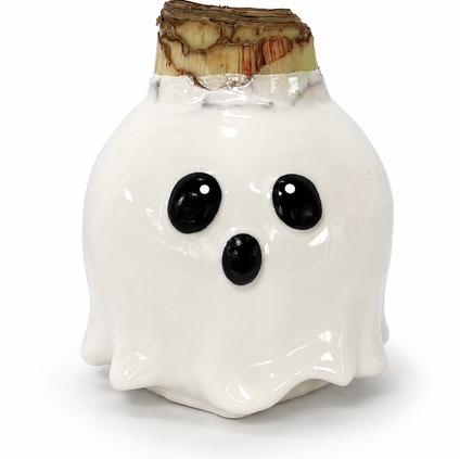 Amaryllis Wax Figurine 'Ghost' 