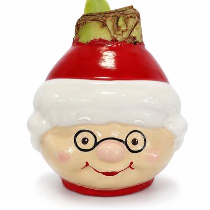 Amaryllis Wax Figurine 'Mrs. Claus' 