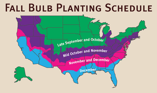 Fall Planting Schedule