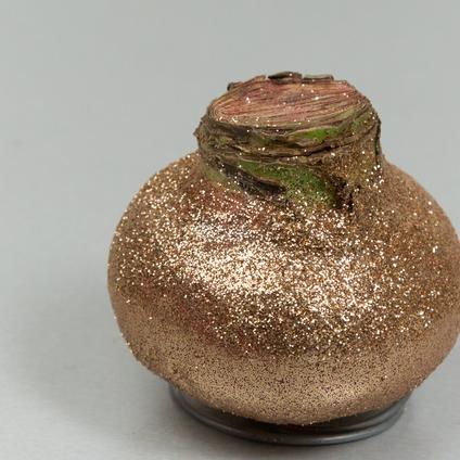 Amaryllis Wax 'Glitter Copper'